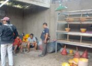 Terkait Ketapang Ayam Kampung Balitbangtan, BUMDes Bobojong Mande Beri Penjelasan