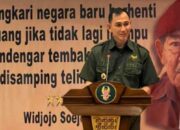 Isfan Fajar Satrio: Nasionalisme Dalam Bayang Algoritma