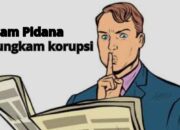 Gelapnya Data DBHP 2016-2018: Bungkamnya PPID Pemkab dan PPID DPRD adalah Pidana