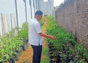 Lapas Cianjur Ciptakan Pertanian Mandiri untuk Kemandirian Pangan