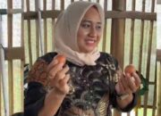 Wujudkan Ketahanan Pangan, Desa Karanganyar Laksanakan Giat Budidaya Ayam Petelur