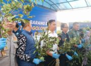 BNNK Cianjur Musnahkan Tanaman Narkoba Golongan I di Lahan Seluas Satu Hektar