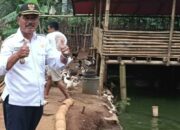 Kepala Desa Jatimekar Kunjungi Peternak Kecil, Berikan Pembimbingan untuk Kemajuan Usaha
