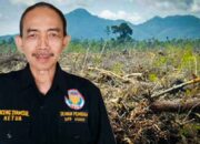 Aceng Syamsul Hadie: Hentikan dan Cabut Semua Perizinan Perusak Hutan Sumatera Sekarang Juga