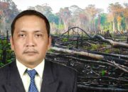 Zuli Zulkipli, S.H: China Membangun Negaranya, dan Alam Kita pun Rusak Dibuatnya