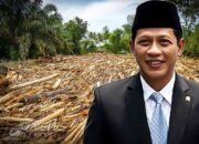 Menteri LH: Gelondongan Kayu Terseret Banjir Sumatera Bisa Dimanfaatkan Kembali