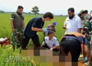 Mayat Pria Tanpa Identitas Ditemukan di Tengah Sawah Desa Balida-Dawuan
