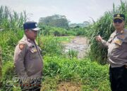 Forkopimcam Mande Tutup Akses Jalan Diduga Dijadikan Tempat Pembuangan Limbah Kotoran Hewan Ternak