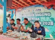 Polsek Cipeundeuy dan Kelompok Tani Jatimekar Panen Raya 5 Hektar Jagung Hibrida
