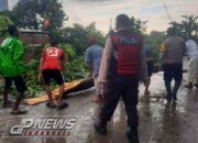 Dahan Pohon Menimpa 3 Kendaraan, Dampak Hujan dan Angin Kencang Di Perum Nirwana Residence
