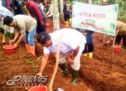 Penanaman 1.300 Ragam Pohon Pangan oleh DPC Partai Gerindra Serta Sejumlah Sayap Partai