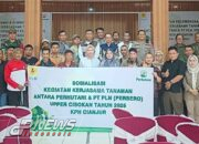 Perhutani KPH Cianjur Gelar Konsolidasi Strategis Kerjasama Tanaman dengan PLN