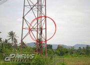 Pria di Cianjur Panjat Tower BTS, Dugaannya Gangguan Mental