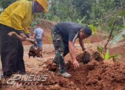 Wujud Nyata Kepedulian Lingkungan, Satgas TMMD Ke-127 Kodim 0617/Majalengka Tanam 150 Pohon