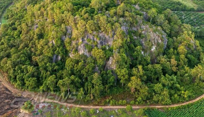 Penemuan Spesies Baru di Gua Karst Kamboja: Pit Viper Pirus hingga Tokek dan Ular Terbang