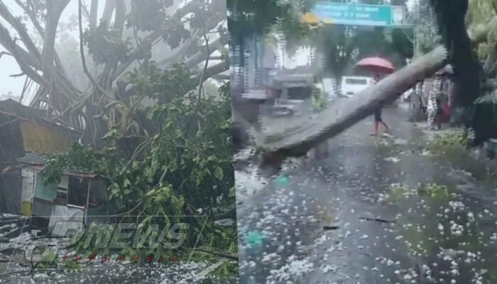 Bandung Diterjang Hujan Es dan Angin Kencang, Puluhan Pohon Tumbang