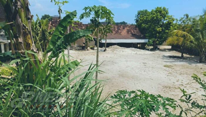 Tanggul Sungai Tuntang Jebol Akibatkan Ribuan Rumah Terendam Banjir 