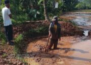 Proyek Ayam Diprotes Warga Desa Mande: Sawah Kami Hancur, Kami Butuh Ganti Rugi