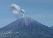 Gunung Semeru Kembali Erupsi, Kolom Abu Capai 1.200 Meter