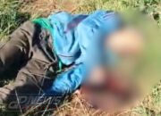 Mayat Pria Ditemukan Tewas Bersimbah Darah di Kebun PTPN Sukanagara Dan Senjata Rakitan di TKP