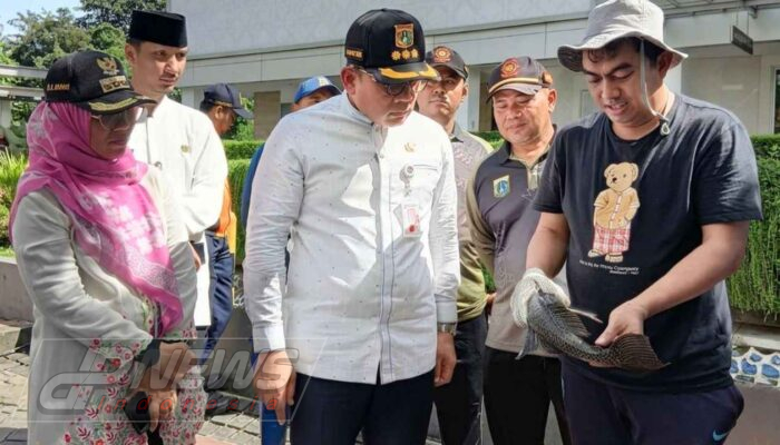 Pemkot Jakpus Gelar Bedah Kali Cideng untuk Basmi Ikan Sapu-Sapu