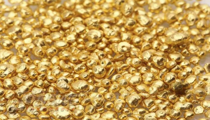 Hasil Pengeboran Empat Bulan Ungkap Potensi Cadangan Emas Baru di Prospek Kolokoa, Gorontalo