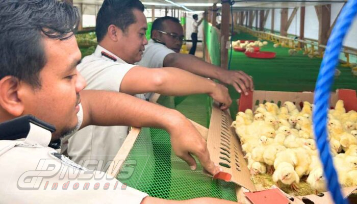 Lapas Cianjur Tambah 1.000 Ayam Pedaging, Perkuat Ketahanan Pangan Sekaligus Bekali Keterampilan Warga Binaan