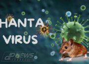 23 Pasien Hantavirus di Indonesia Keluhkan Demam hingga Jaundice