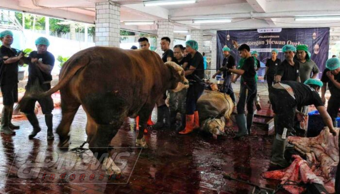 Megawati, Gereja Katedral, dan Pengusaha Sumbang Puluhan Hewan Kurban ke Masjid Istiqlal