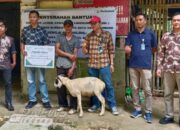 Perhutani KPH Cianjur Tebar Keberkahan Idul Adha untuk Penyadap Getah Pinus