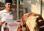 TMI dan APPI Cianjur Terima Sapi Qurban dari Presiden Prabowo, Ratusan Kantong Daging Dibagikan ke Warga