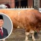 Presiden Prabowo Salurkan 1.098 Sapi Kurban Senilai Rp 100 Miliar dari APBN, Menkeu Purbaya Mengaku Tak Tahu