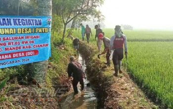 PKTD Normalisasi Saluran Irigasi 2 Km di Kp. Cijujung, Hektaran Sawah Kembali Lancar Terairi