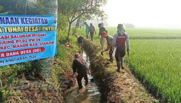 PKTD Normalisasi Saluran Irigasi 2 Km di Kp. Cijujung, Hektaran Sawah Kembali Lancar Terairi