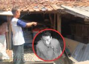 Terekam CCTV, Pencurian Massal Unggas di Karangtengah Resahkan Warga