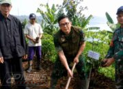 Gerakan Penghijauan Waduk Cirata Menggema, Sektor 6 Citarum Harum Libatkan Semua Elemen Masyarakat