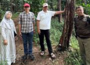 Sekjen Kemenhut dan Perhutani Perkuat Sinergi, Kesejahteraan Penyadap Pinus Jadi Prioritas