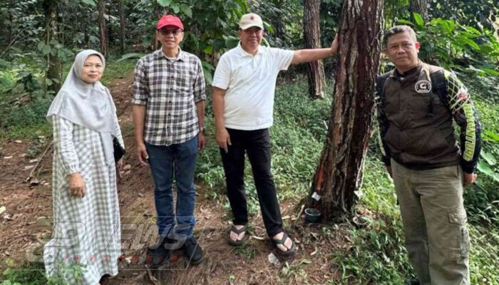 Sekjen Kemenhut dan Perhutani Perkuat Sinergi, Kesejahteraan Penyadap Pinus Jadi Prioritas