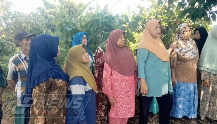 Upah Belum Dibayar hingga 7 Bulan, Ratusan Buruh Perkebunan Kakao Cianjur Minta Hak Segera Dipenuhi