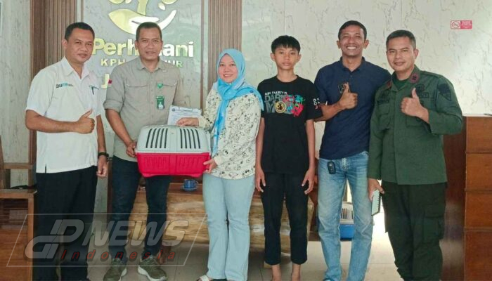 Perhutani Cianjur dan BKSDA Selamatkan Kucing Kuwuk, Wujud Nyata Kepedulian terhadap Satwa Dilindungi