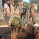 Warga Bersama Pemerintah dan Satgas Citarum Harum Benahi Gorong-Gorong Penyebab Genangan di Cikalongkulon