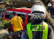 Pohon Mahoni Tumbang Timpa Tiga Kendaraan di Jalur Cianjur–Bandung, Empat Orang Luka Ringan