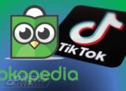 Rumor PHK 90 Persen Karyawan Tokopedia Ramai Beredar, TikTok Konfirmasi Penyesuaian Organisasi