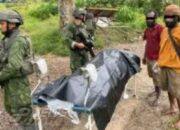 Pilot AS Tewas Ditembak Kelompok Bersenjata di Papua Pegunungan, Jenazah Dievakuasi TNI