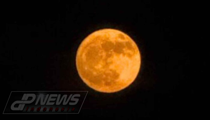 Buck Moon Oranye Hiasi Langit, Pembuka Musim Gerhana Agustus 2026