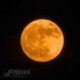 Buck Moon Oranye Hiasi Langit, Pembuka Musim Gerhana Agustus 2026