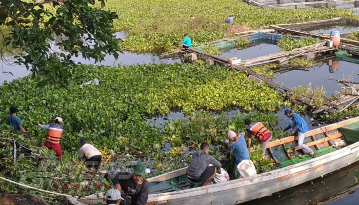 Disnakertrans Cianjur Kolaborasi dengan Polsek Mande Bersihkan Waduk Cirata Lewat Program Padat Karya
