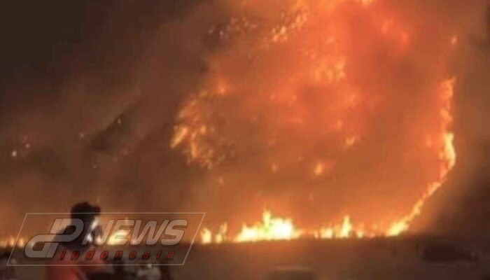 Kawasan Wisata Bromo Ditutup Total Imbas Kebakaran Hutan dan Lahan yang Terus Meluas