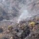 Kebakaran Taman Nasional Gunung Gede Pangrango Meluas, Petugas Masih Berjibaku Padamkan Api