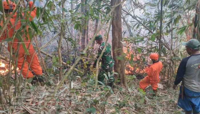 Kebun Bambu 2 Hektare di Gunung Bokok Majalengka Terbakar